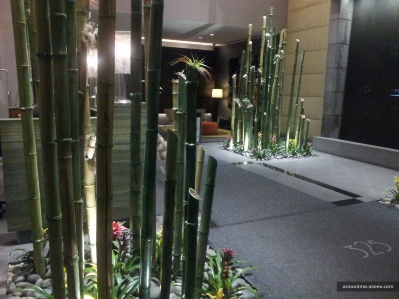 Cool vestibule (5th ave.)