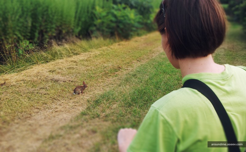 New Bike Path with Plenty of Wildlife (mostly mosquitoes)
