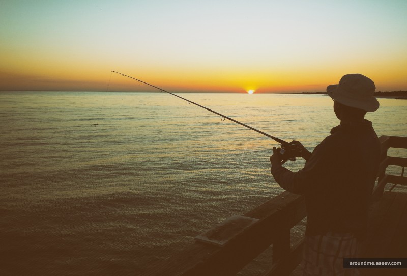 Pier Fishing