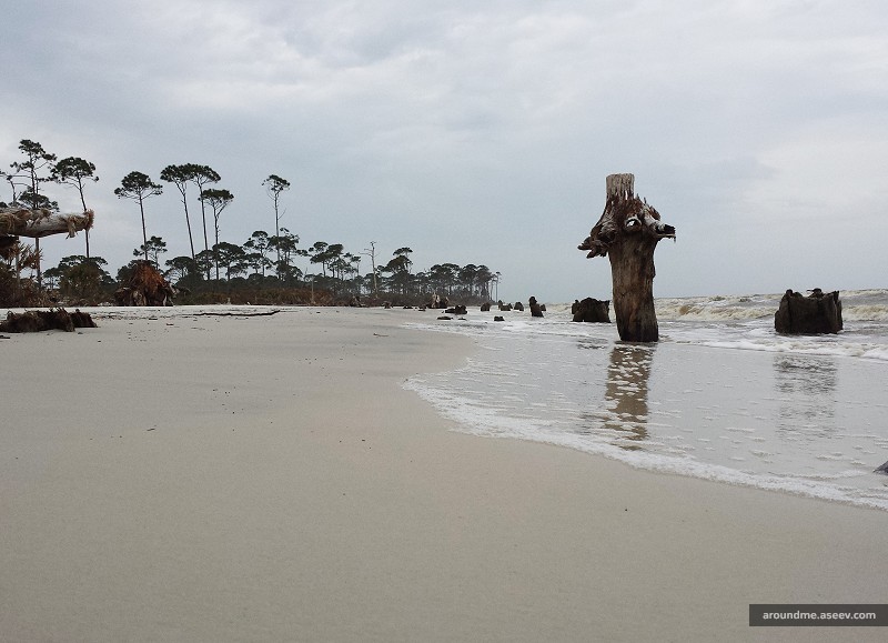 Cape San Blas, Florida