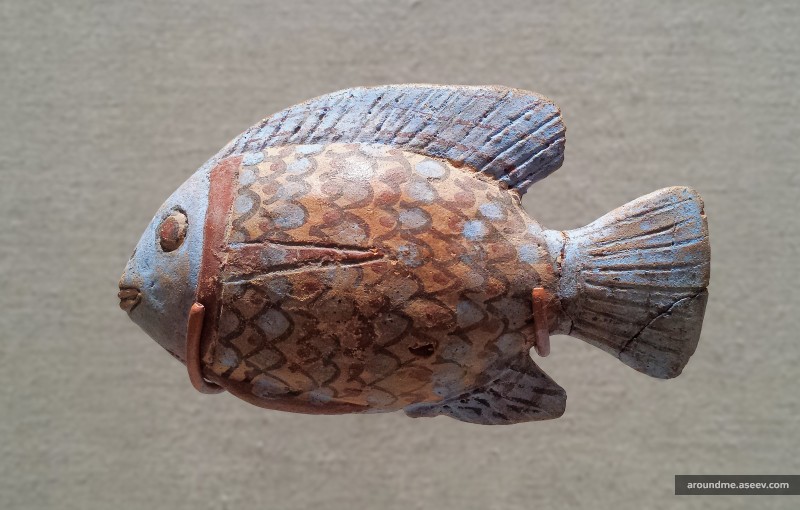 Magical Fish