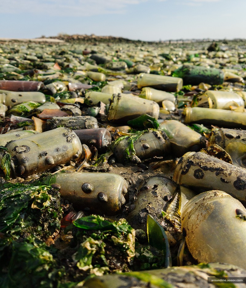 Glass Bottle Beach of the Dead Horse Bay