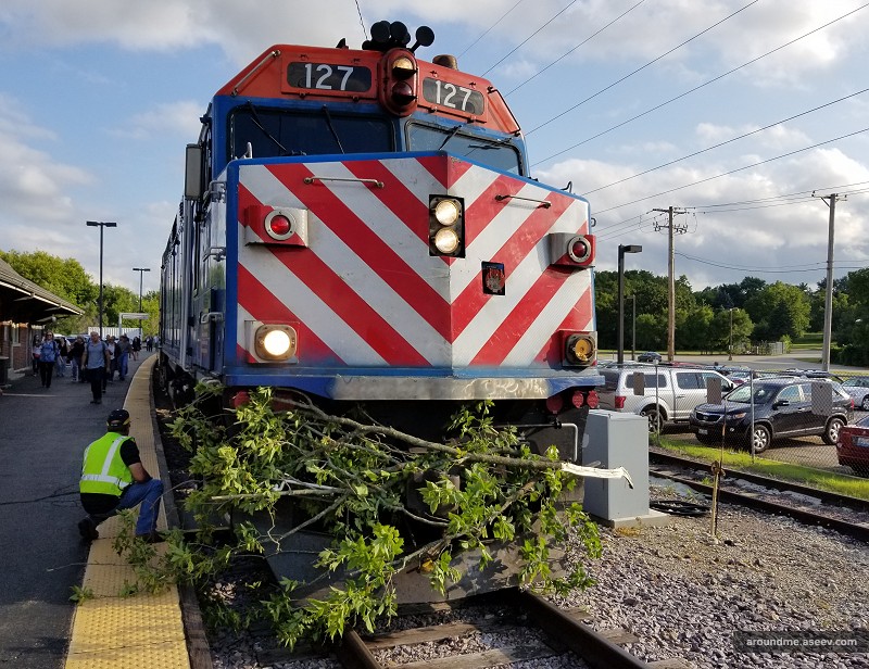 Union Pacific Northwest Train Hits a Tree on Tracks