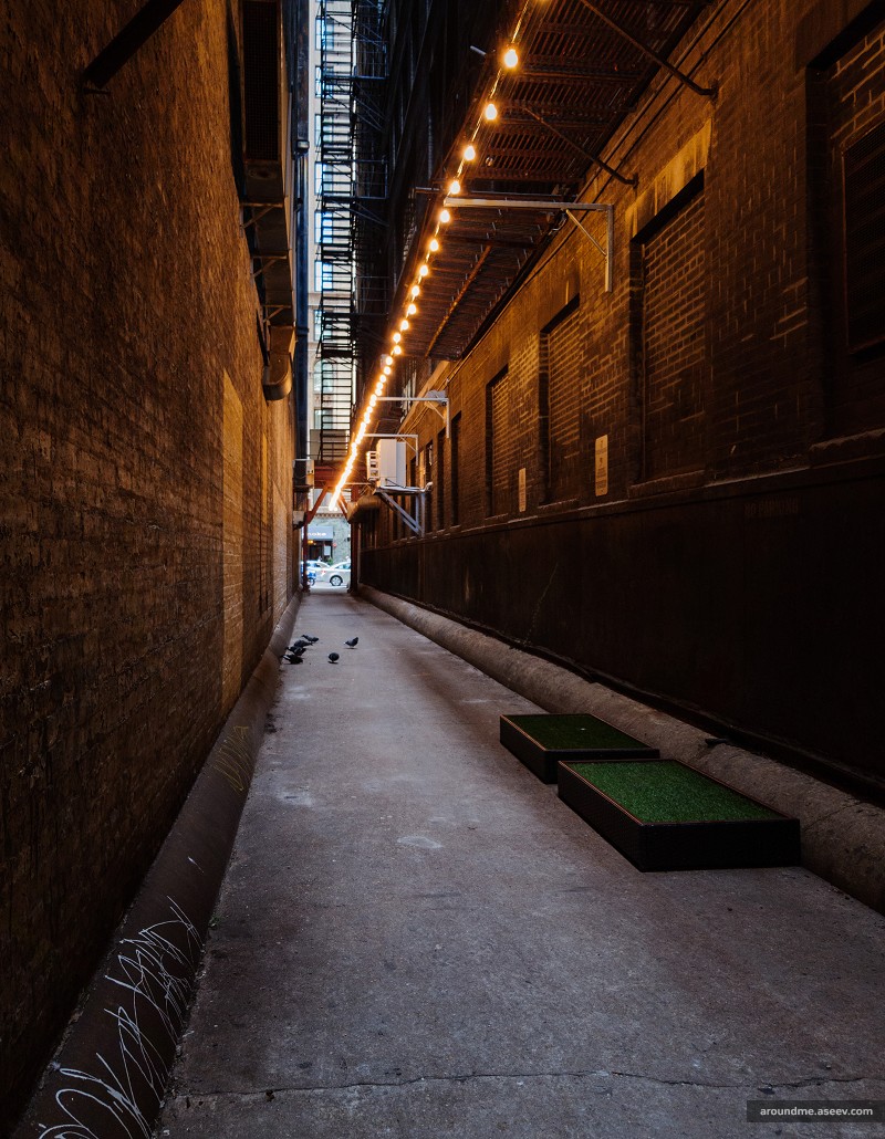 Back Alleys of Chicago